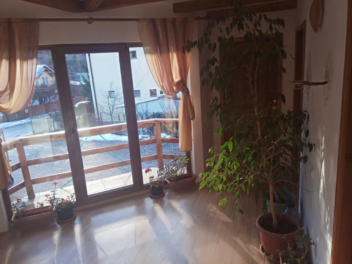 Готель Casa Alexandru Азуга Екстер'єр фото