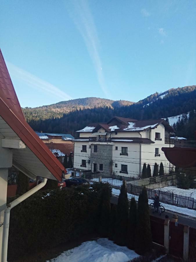 Готель Casa Alexandru Азуга Екстер'єр фото
